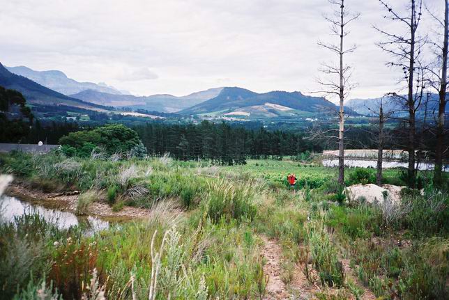 franschhoek07