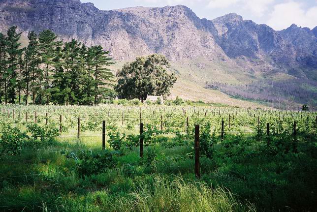 franschhoek08