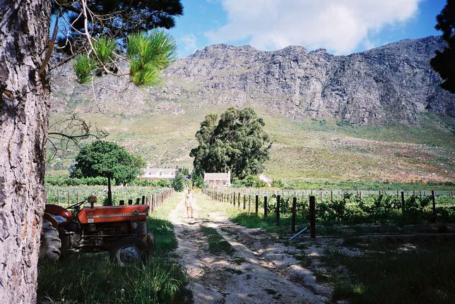 franschhoek11