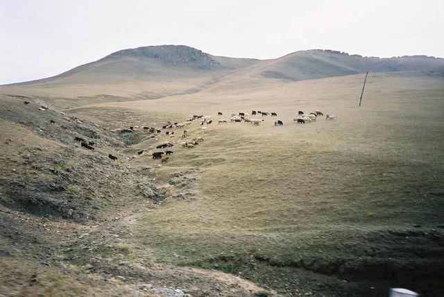 mongolia33