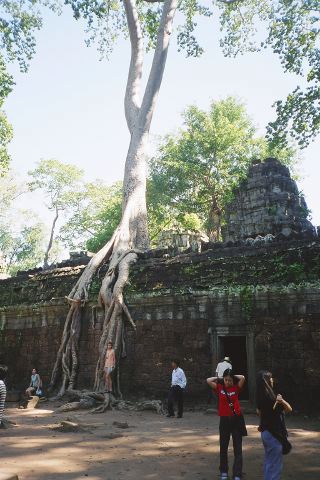 cambodia29