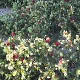 img_4005.jpg