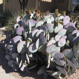 img_4112.jpg