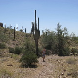 img_4154.jpg