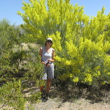 img_4155.jpg