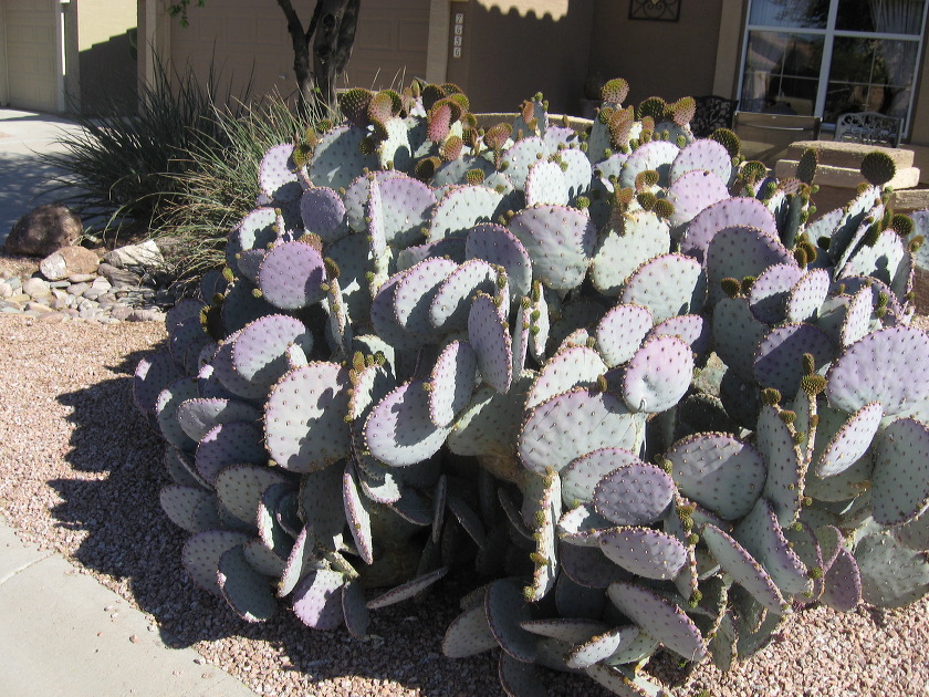 img_4112.jpg
