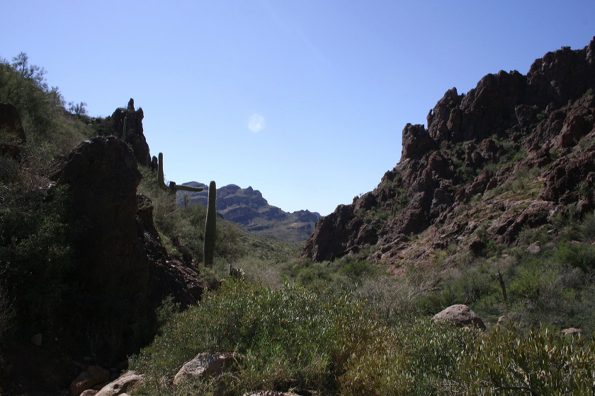 img_4320.jpg