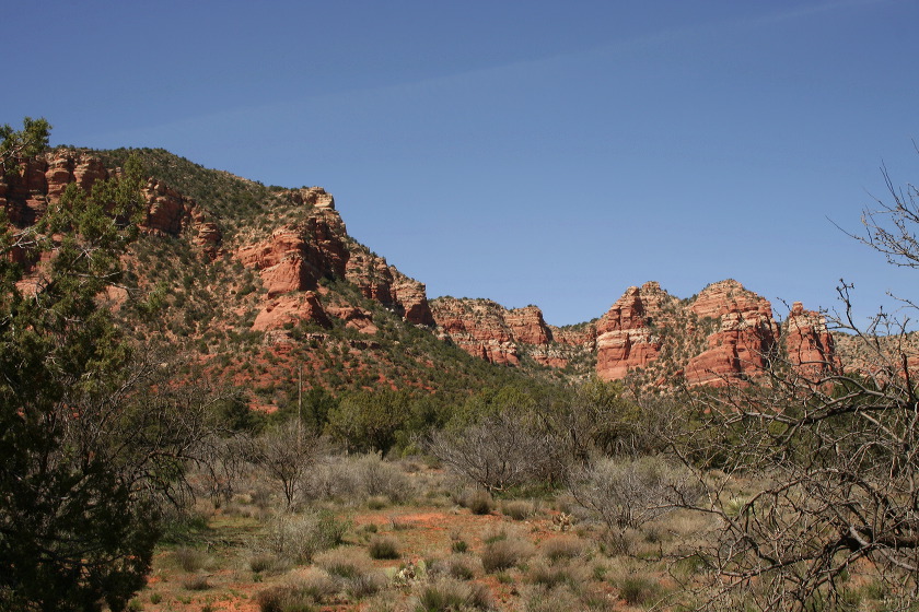 img_4429.jpg