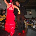 flamenco_05.jpg