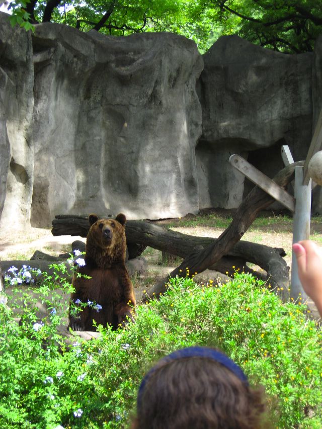 day_at_the_zoo_01.jpg