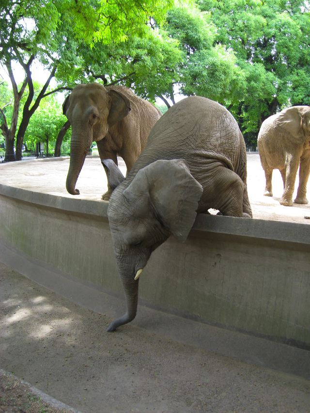 day_at_the_zoo_04.jpg