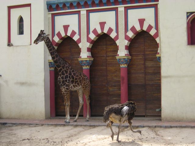 day_at_the_zoo_06.jpg