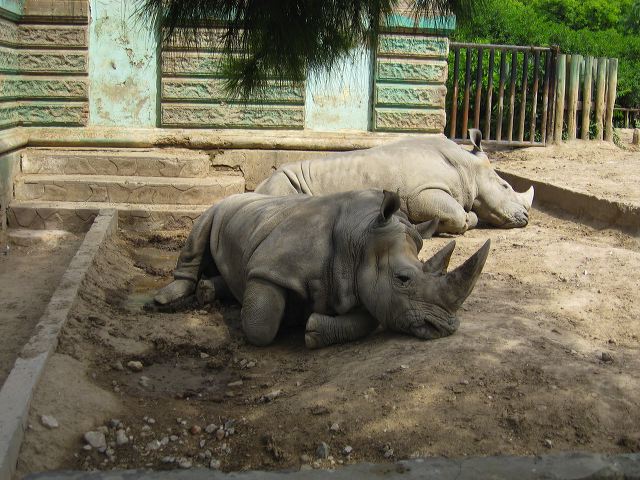 day_at_the_zoo_07.jpg