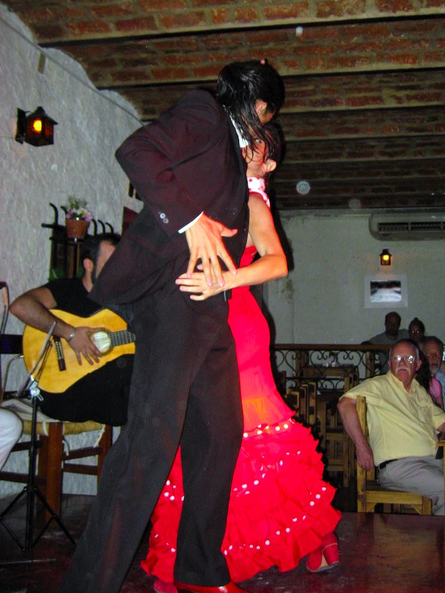 flamenco_03.jpg