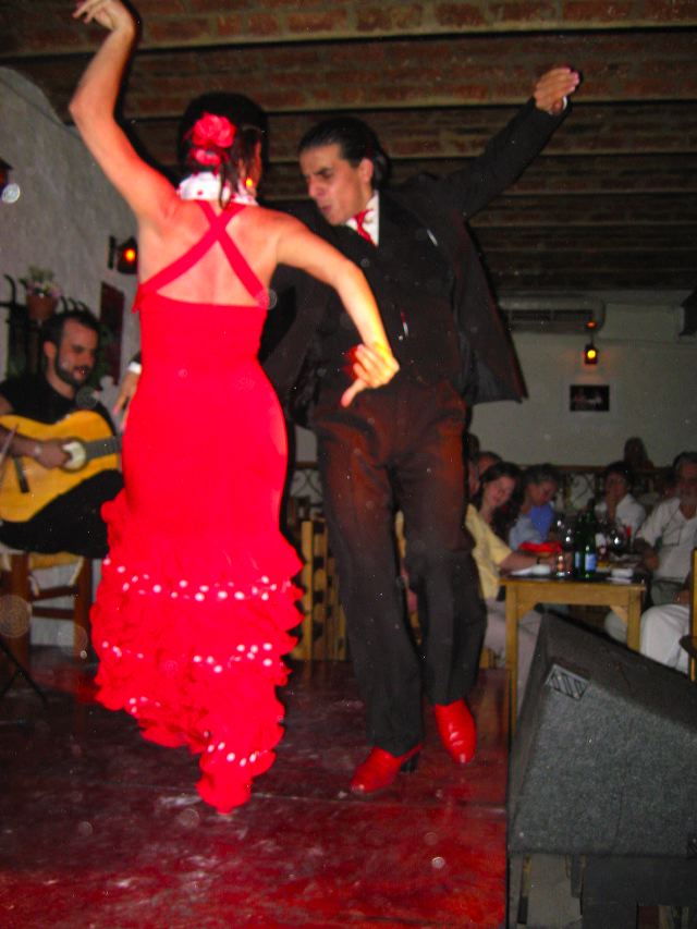 flamenco_05.jpg