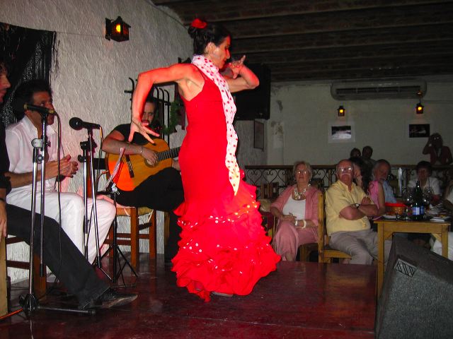 flamenco_07.jpg