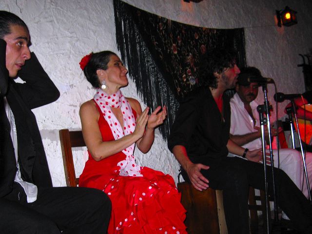 flamenco_08.jpg