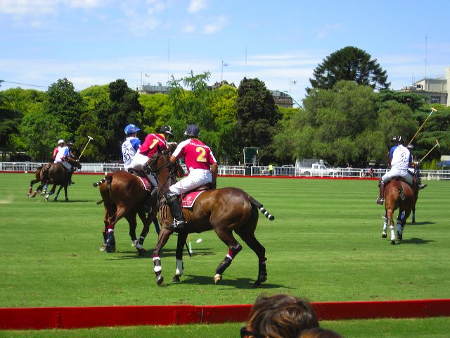polo_002.jpg