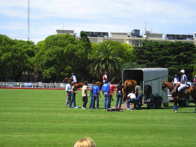 polo_004.jpg