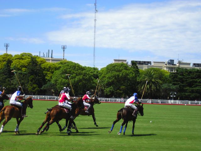 polo_005.jpg