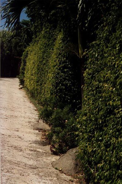 villa09