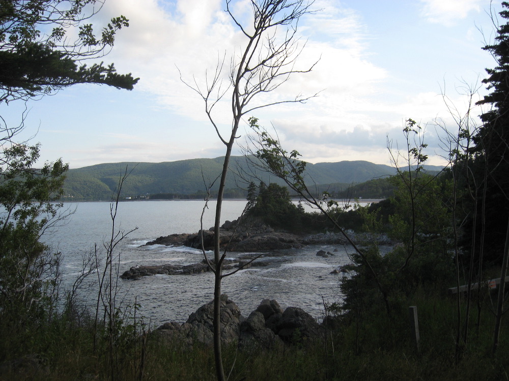 img_5121.jpg