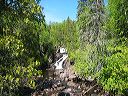 ontario35