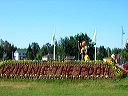 ontario41