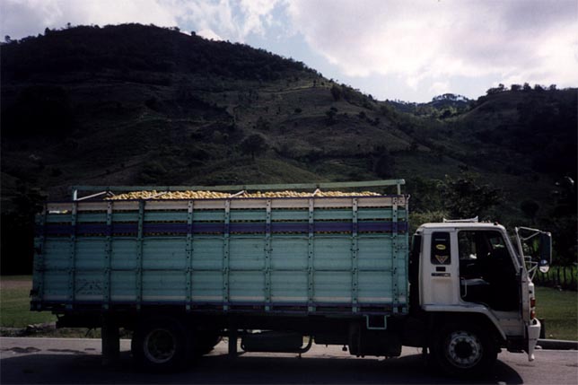 honduras07