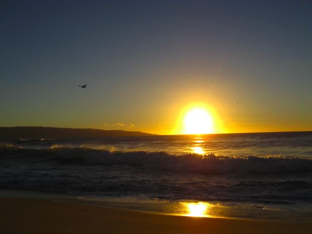 renaca-sunset-01.jpg