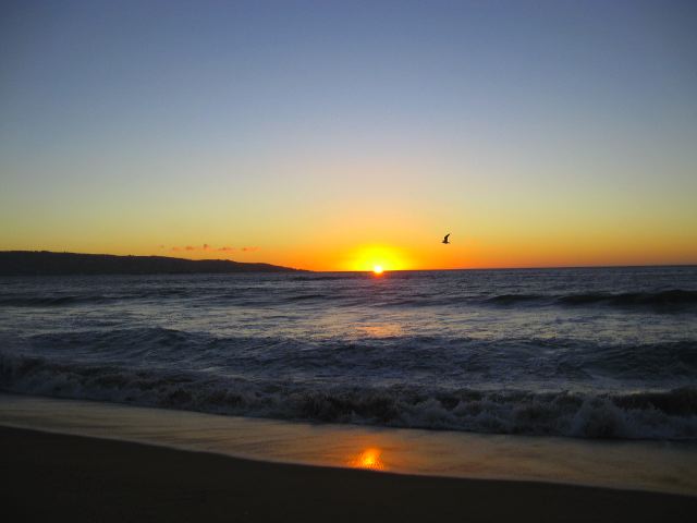 renaca-sunset-04.jpg