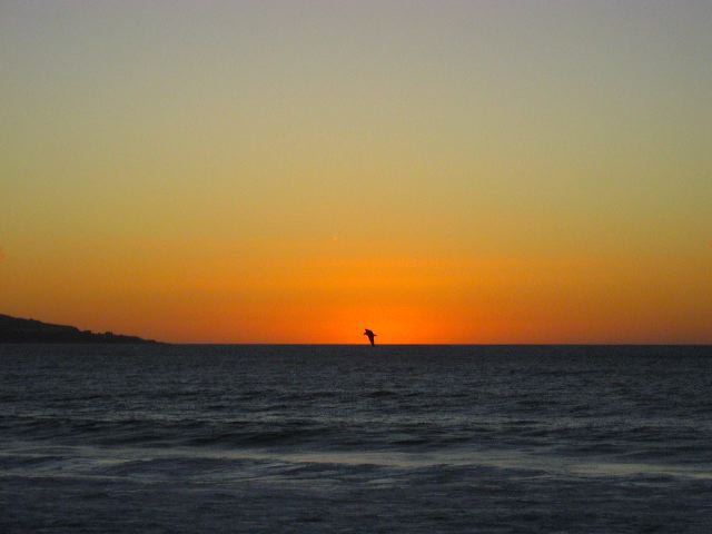 renaca-sunset-07.jpg