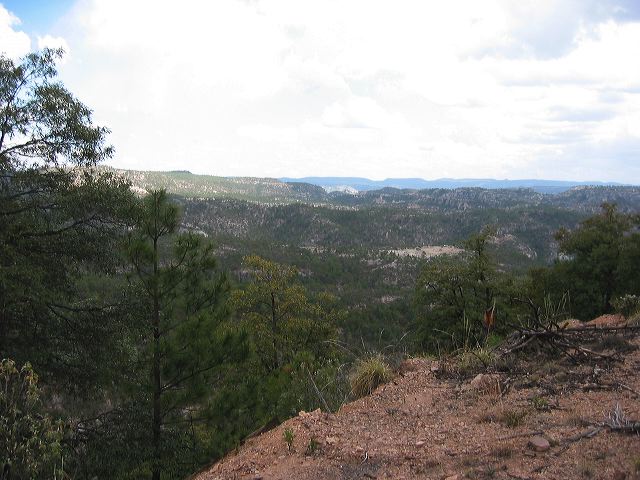 coppercanyon18.jpg