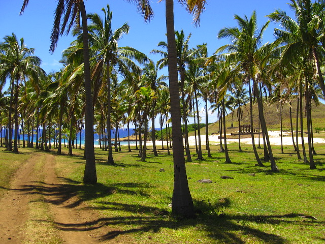 easter_island_092.jpg
