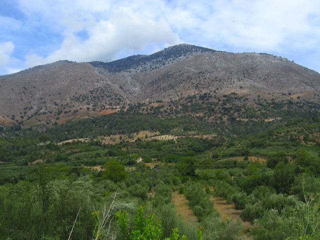 img_2847.jpg