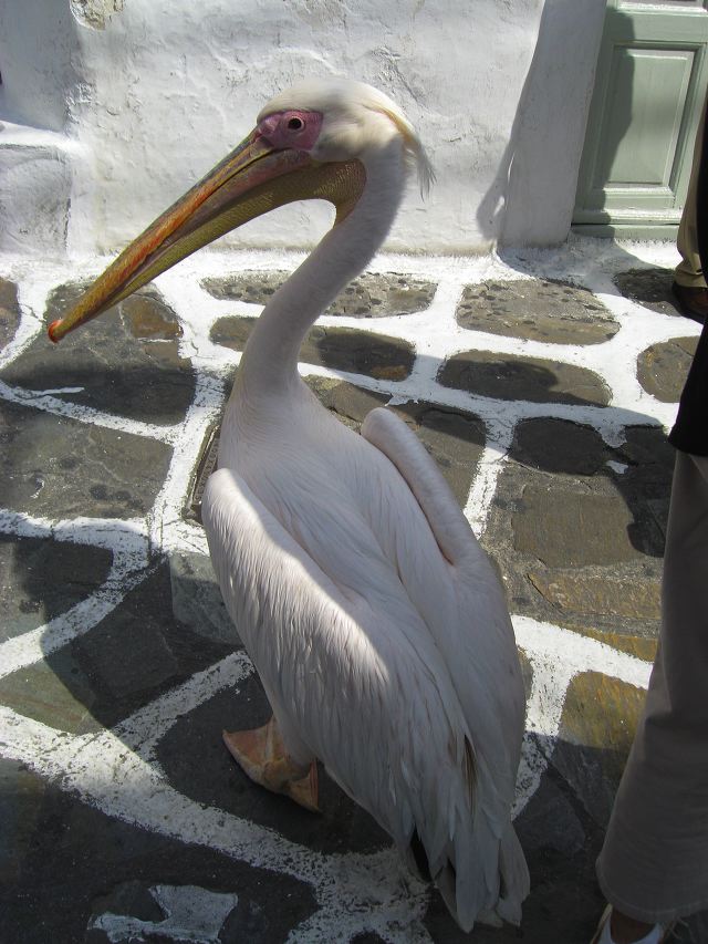 mykonos25.jpg