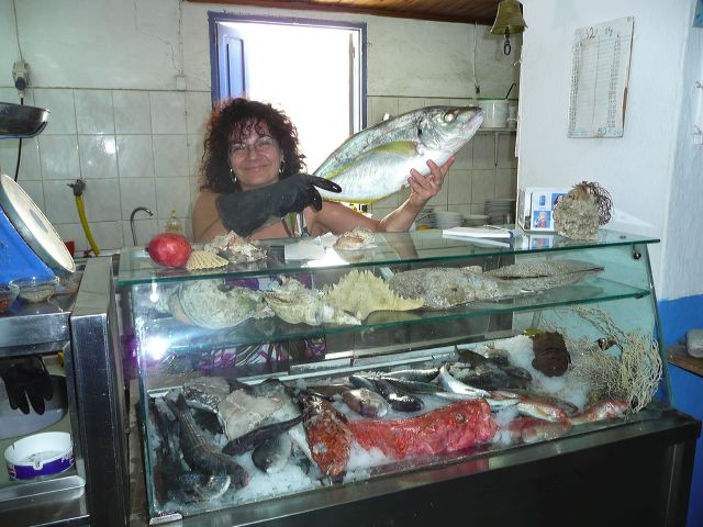 p1050351.jpg