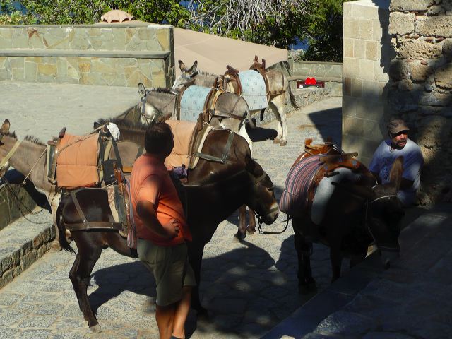p1050401.jpg