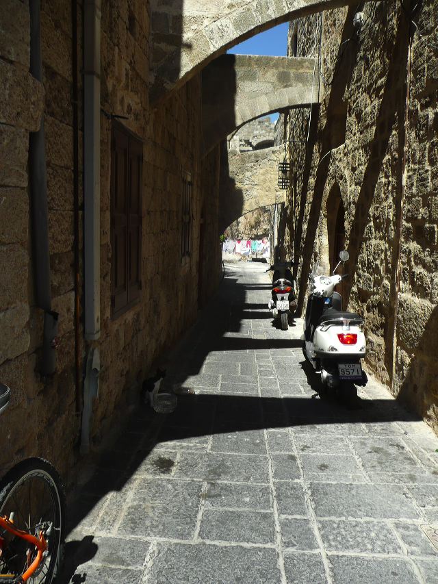 p1050442.jpg