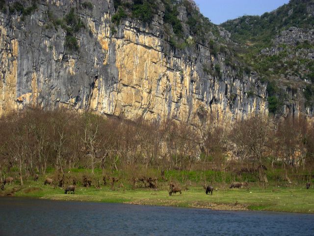 li_riverboat_03.jpg