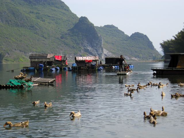liugong_cycle_16.jpg