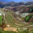 longsheng_terraces_29.jpg