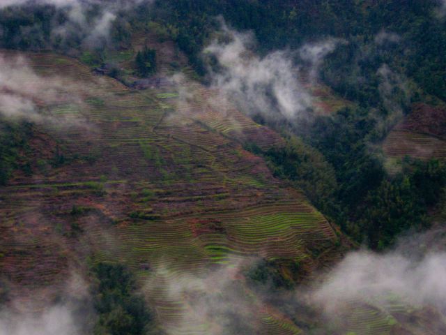 longsheng_terraces_08.jpg