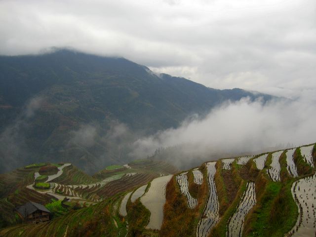 longsheng_terraces_17.jpg
