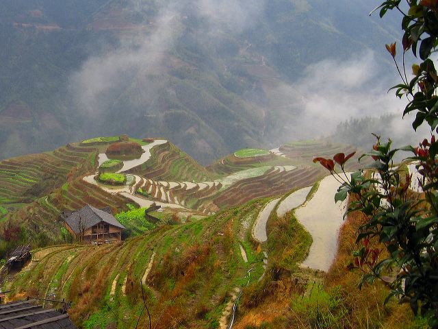 longsheng_terraces_18.jpg