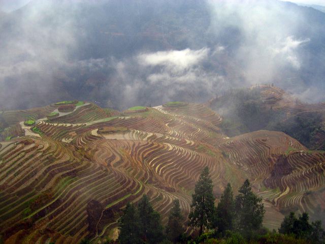 longsheng_terraces_21.jpg