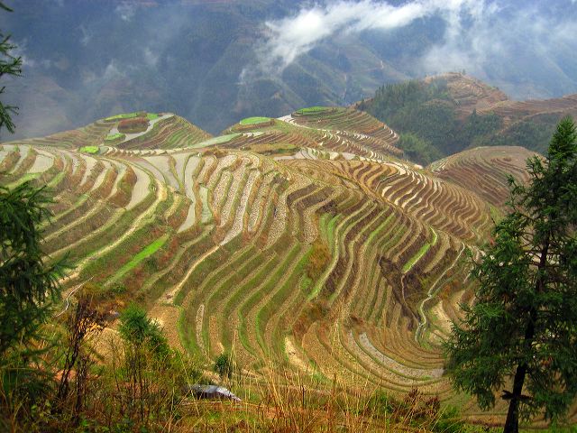 longsheng_terraces_24.jpg
