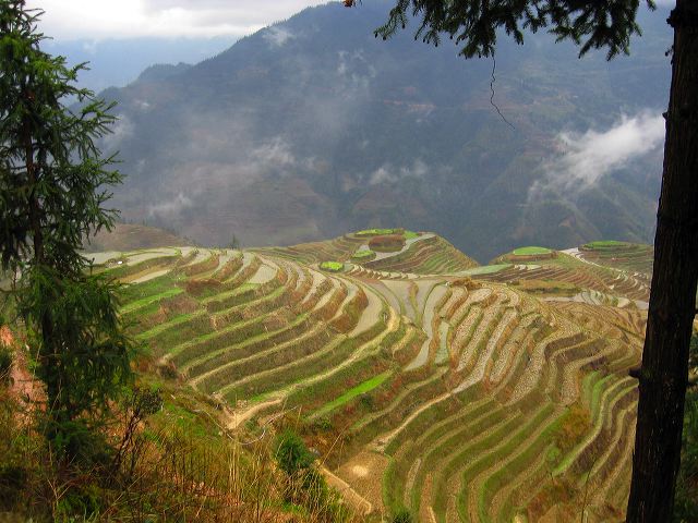 longsheng_terraces_25.jpg