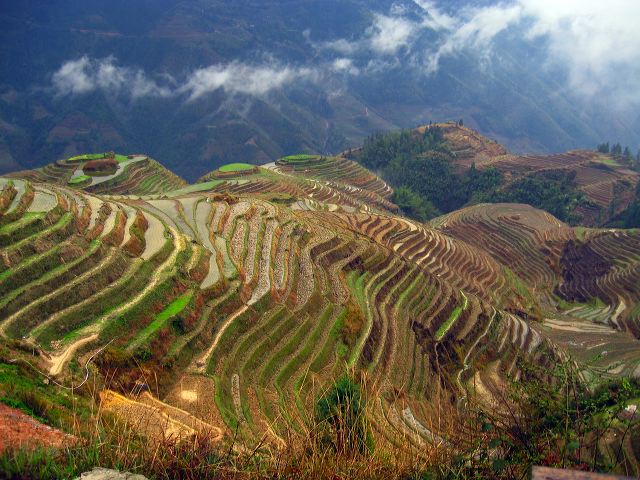 longsheng_terraces_27.jpg