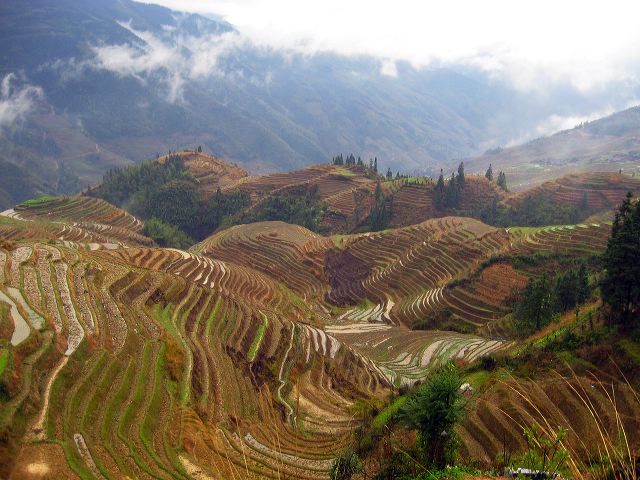 longsheng_terraces_28.jpg